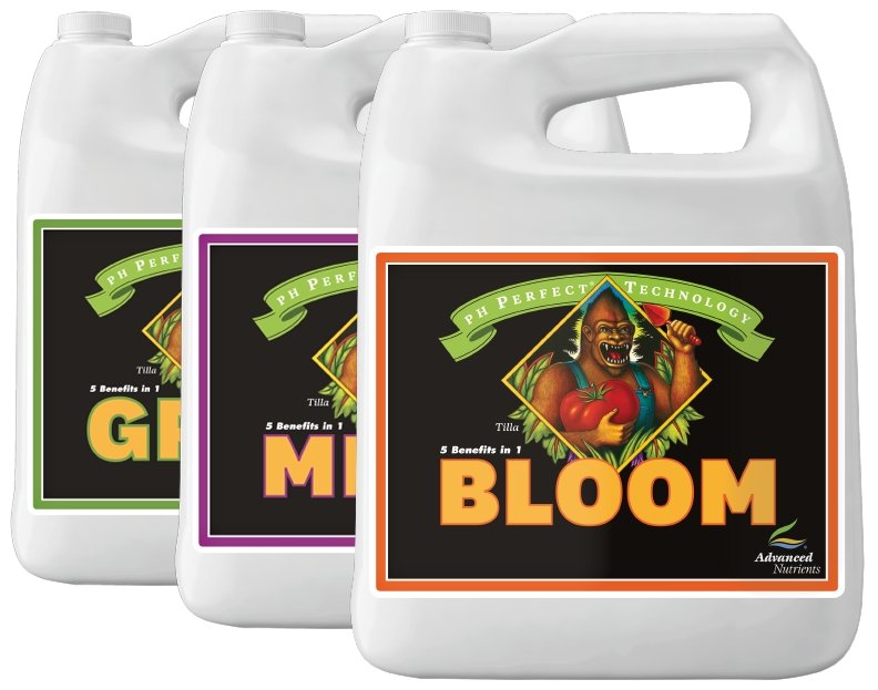 Advanced Nutrients pH Perfect Bloom - 815 Gardens
