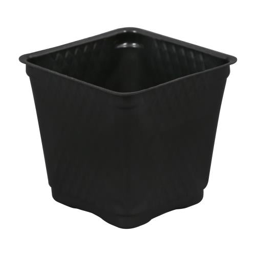 Black Square Pots - Blow-Molded 3.5 Inch - 815 Gardens