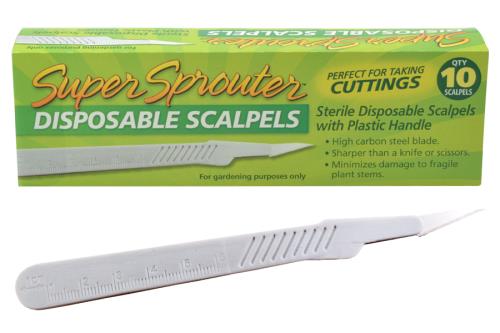 Super Sprouter Disposable Scalpel - 815 Gardens